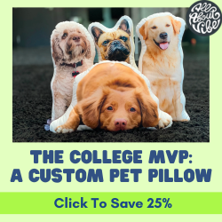 Create Custom Pet Pillow All About Vibe Save 25%